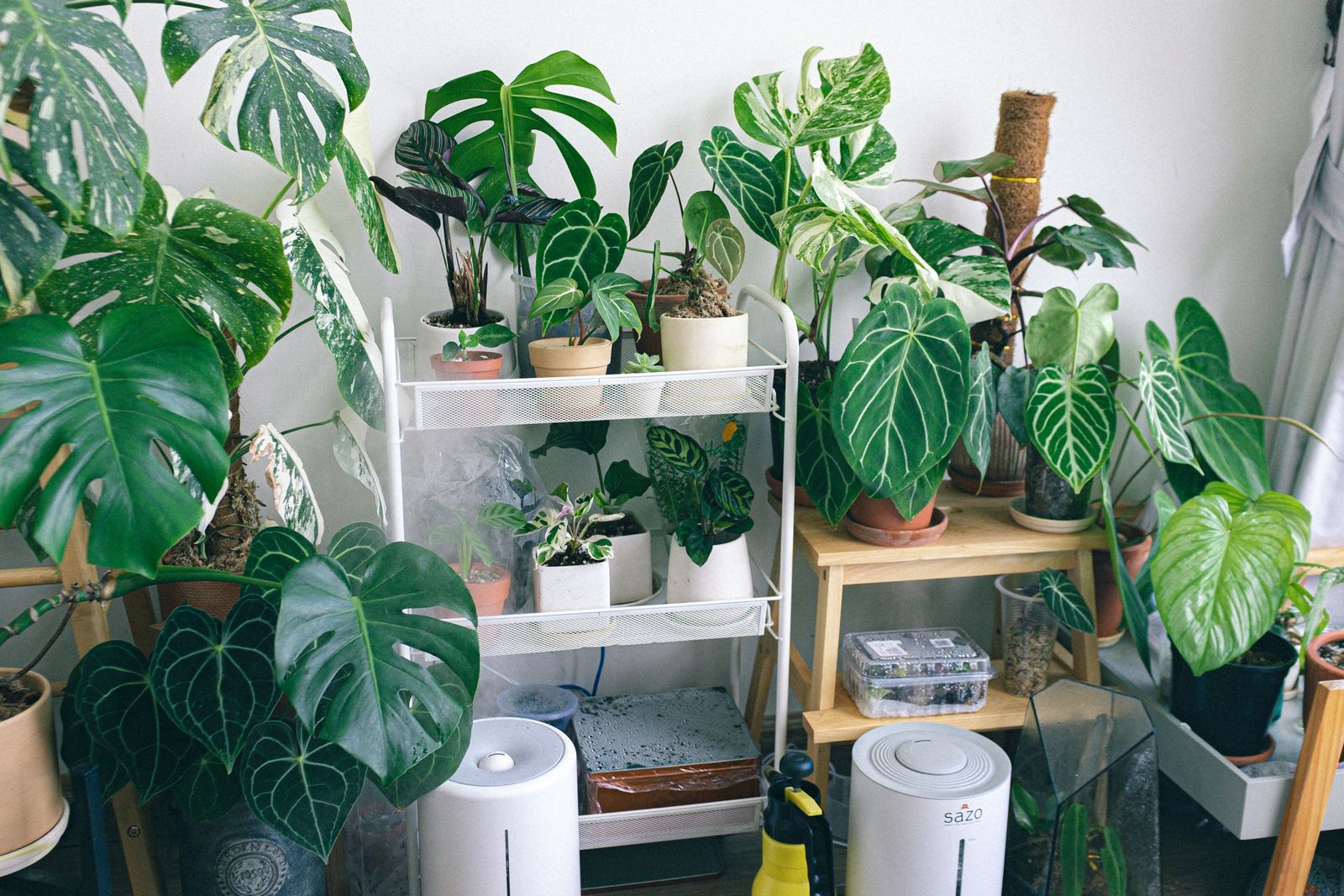 Air purifier running in a living room